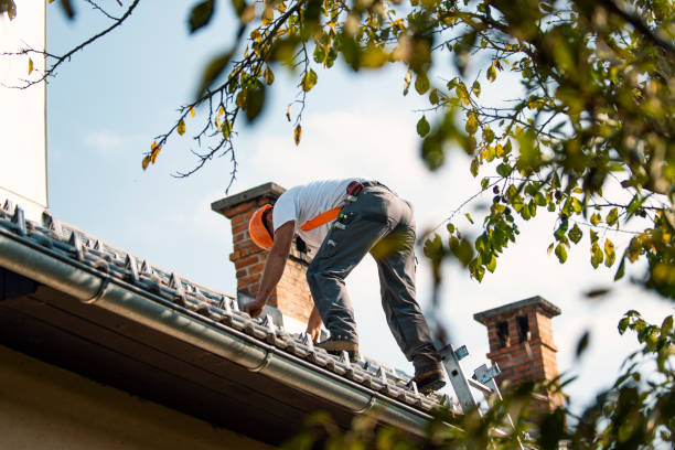 Best Commercial Roofing Services  in Forreston, IL