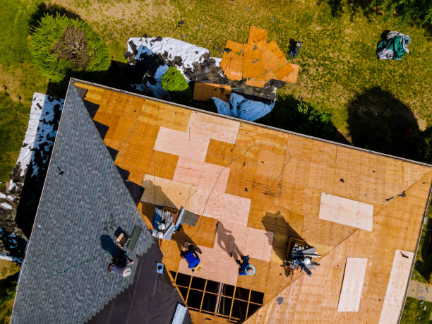 Best Flat Roof Repair Services  in Forreston, IL