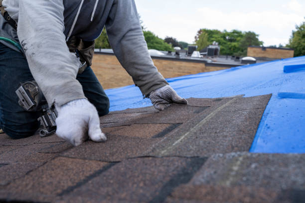 Best Tile Roofing Contractor  in Forreston, IL