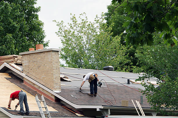 Best Roof Leak Repair  in Forreston, IL