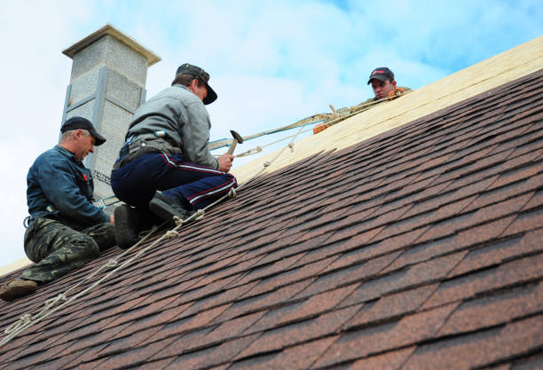 Best Gutter Installation and Roofing  in Forreston, IL