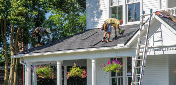 Best New Roof Installation  in Forreston, IL