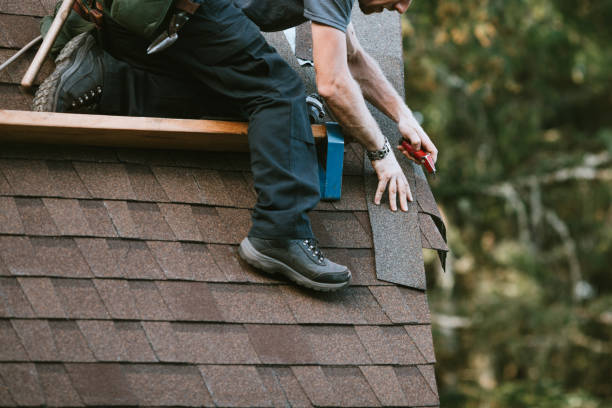 Best Roof Gutter Cleaning  in Forreston, IL