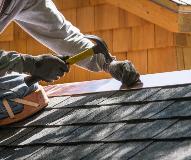 Best Residential Roofing Contractor  in Forreston, IL